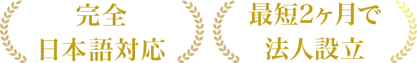日本とベトナムをワンストップで対応