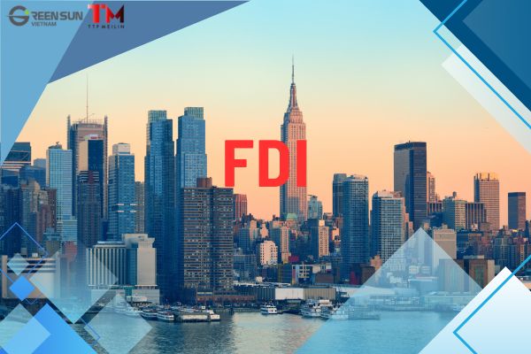 Intro image Viet Nam & Japan FDI 2025