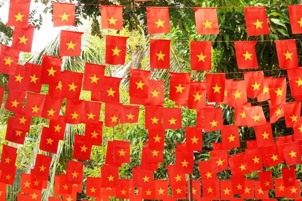 Vietnam GDP Growth - Greensun Vietnam - ベトナム 進出支援 サービス Vietnam GDP Growth and Economic Outlook for 2025 | Improvement in GDP per capita and investment opportunities for Japanese companies