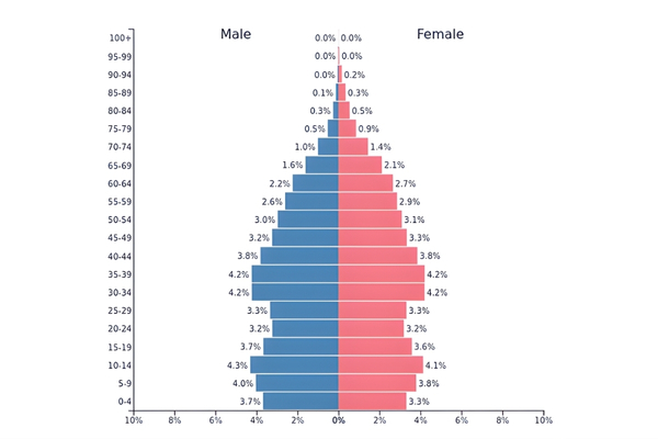 Vietnam population pyramid - image