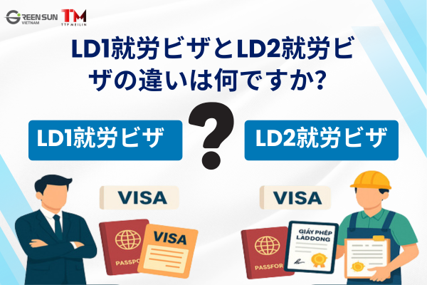 The difference between viet nam work visa types