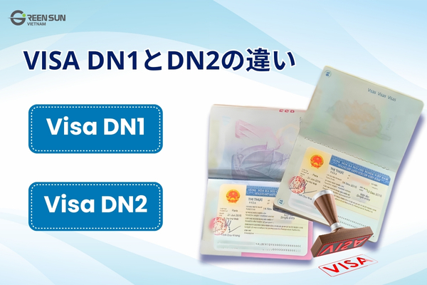 Vietnam Business Visa (DN Visa) | Distinguishing between DN1 and DN2 visas