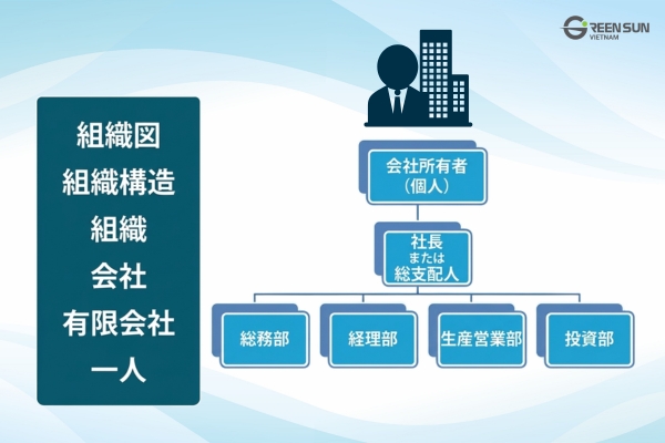 Limited Liability Company in Vietnam| Management structure of a single-member LLC in Vietnam