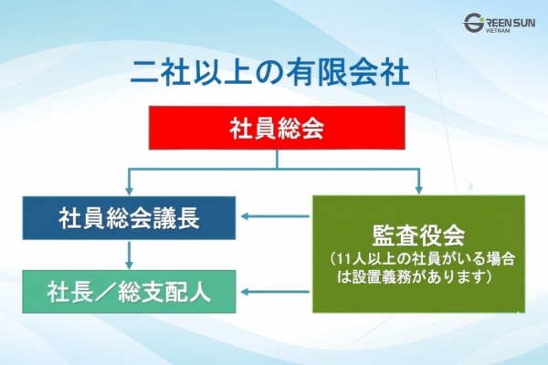 Limited Liability Company in Vietnam| The management structure of a LLC consists of two or more people.