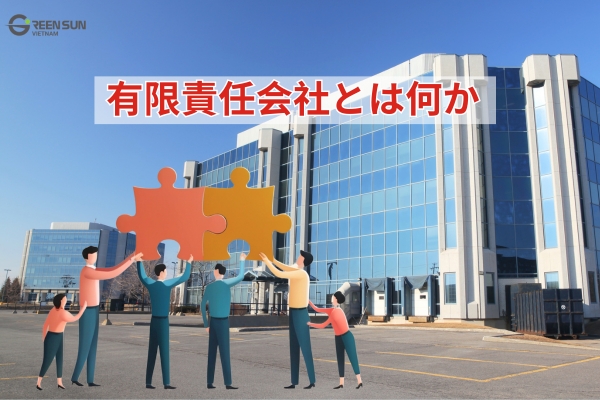 Limited Liability Company in Vietnam| What is a limited liability company