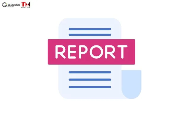 How to Submit an Audit Report_ A Practical Guide for Vietnamese Firms
