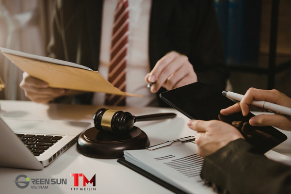 Setting Up a Subsidiary in Vietnam: Key Insights for Foreign Businesses